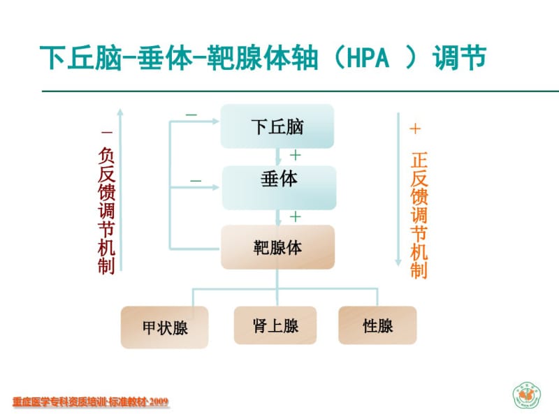 重症病人的内分泌监测.pdf_第3页