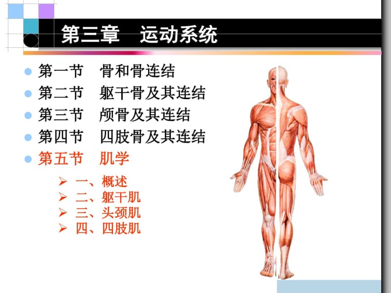 第三章运动系统肌学.pdf_第1页