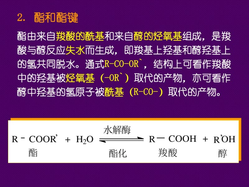 酯酶与氧化酶.pdf_第3页