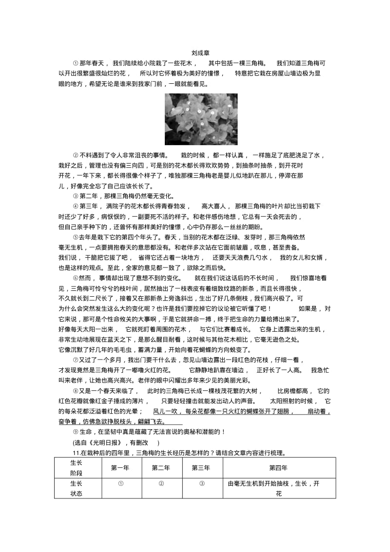 人教部编版语文七年级下导学案18一棵小桃树.pdf_第3页