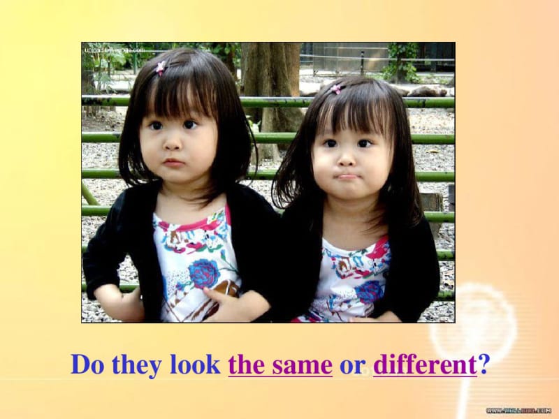 冀教版七年级英语上册Unit3Lesson18《WeAllLookDifferent》(共28张).pdf_第2页