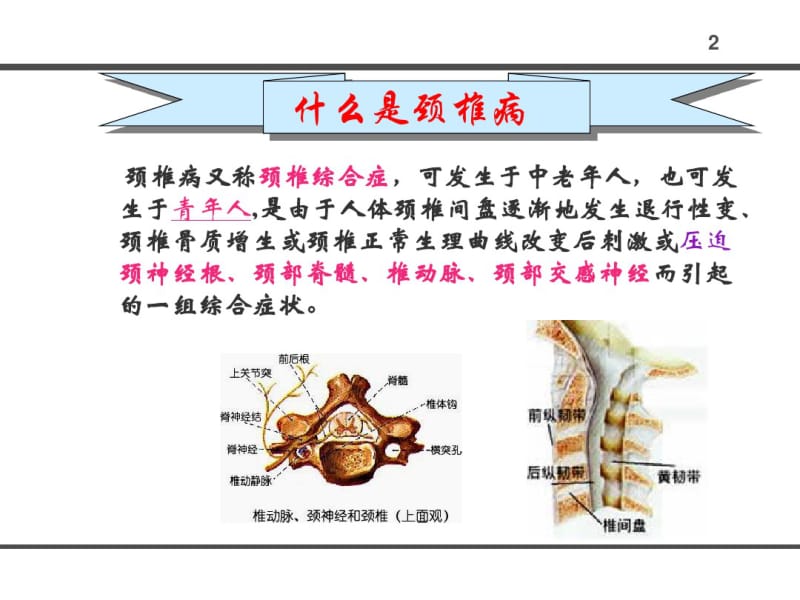 办公室人员如何防止颈椎病(精).pdf_第2页