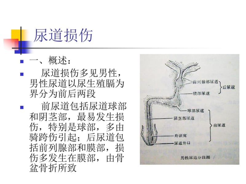 尿道损伤病人的护理(精).pdf_第3页