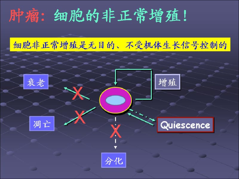 分子肿瘤学课件.pdf_第3页