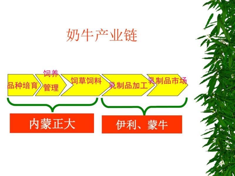 内蒙古正大奶牛饲料推销模式.pdf_第2页