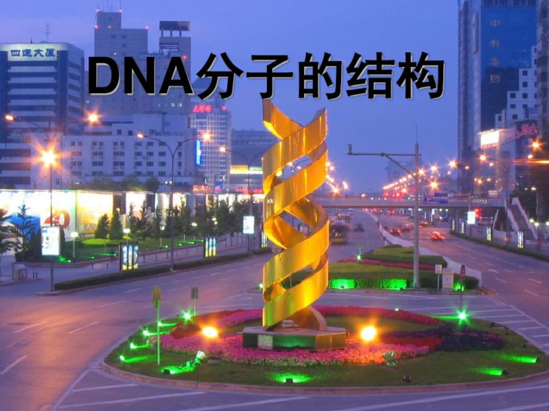 DNA分子结构课件.pdf_第1页