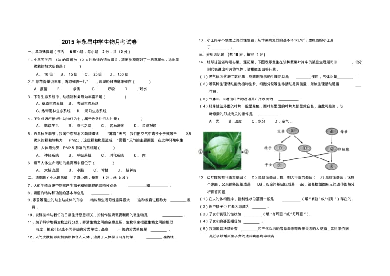 九年级月考地理试卷.pdf_第2页