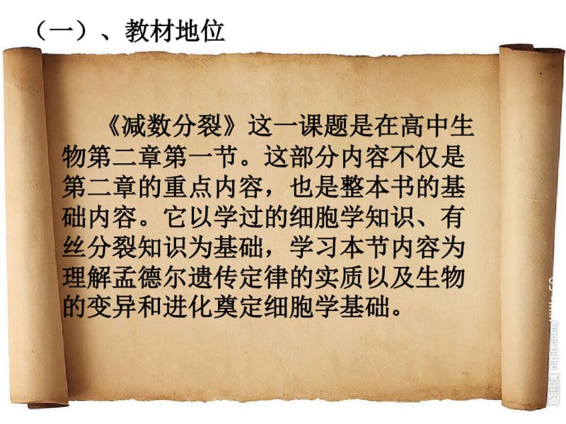 减数分裂-说课比赛课件(共33张).pdf_第3页