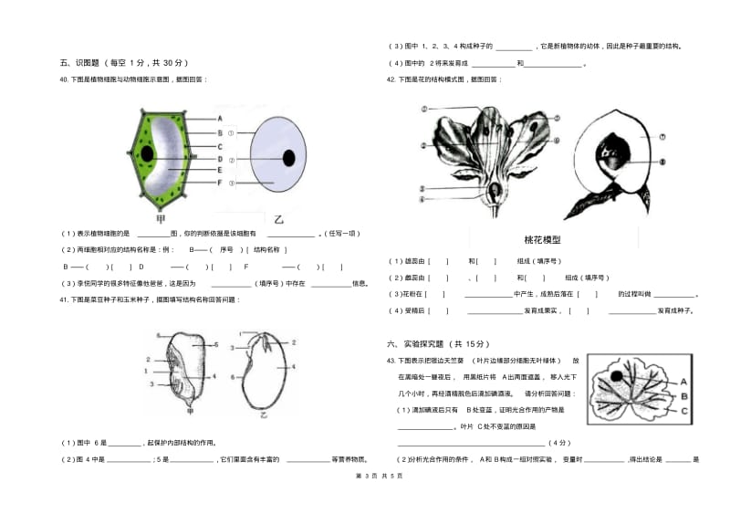 人教版七年级上册生物期末试卷.pdf_第3页