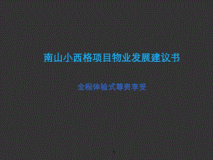 南山小西格项目物业发展建议书56P.pdf