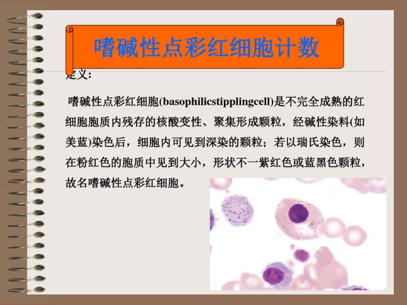 嗜点彩红细胞和网织红细胞.pdf_第2页