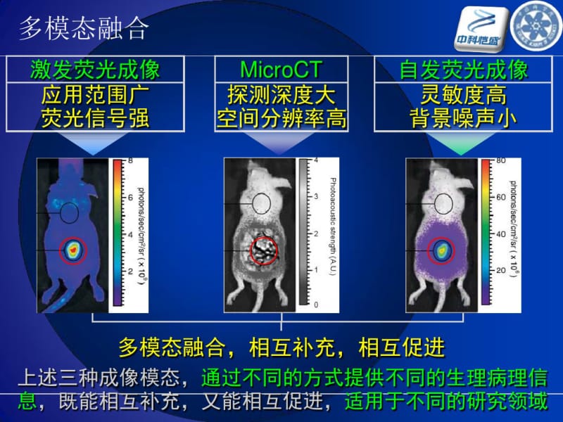 分子影像介绍课件.pdf_第3页