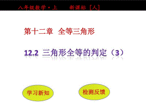 八年级数学_上新课标人.pdf