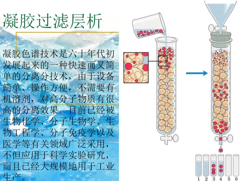 凝胶过滤层析2.pdf_第1页