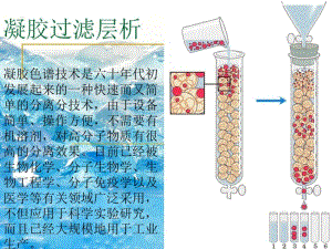 凝胶过滤层析2.pdf