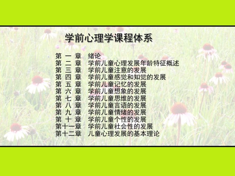 学前心理学课程体系.pdf_第2页