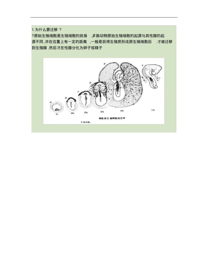 第1章生殖细胞发生..pdf_第2页