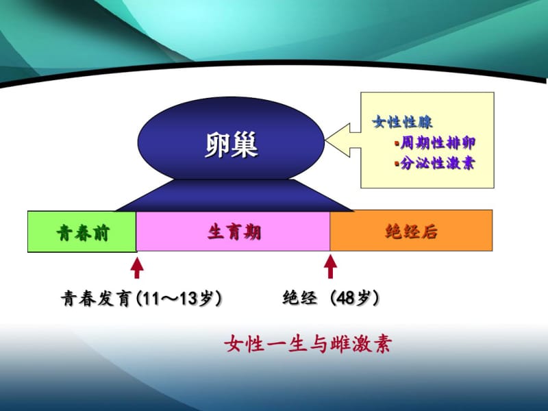 妇科内分泌疾病.pdf_第3页