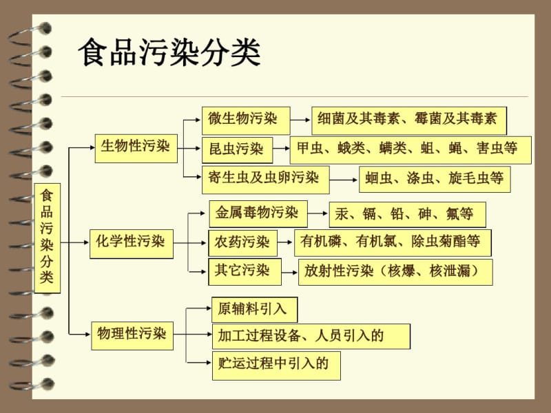 第三讲真菌及其对食品安全的影响..pdf_第3页