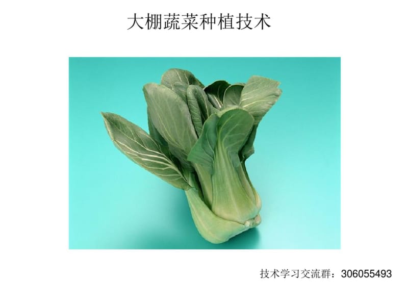 大棚蔬菜种植技术.pdf_第1页