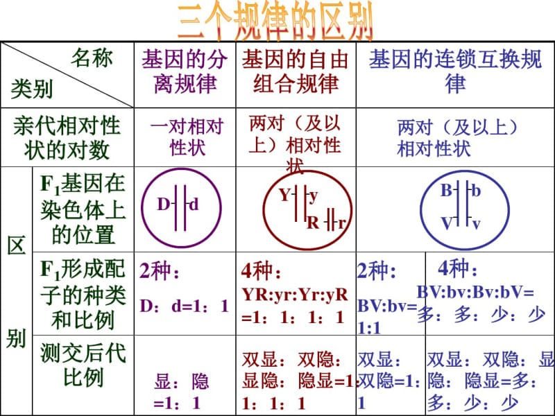 基因的连锁互换规律第2课时.pdf_第2页