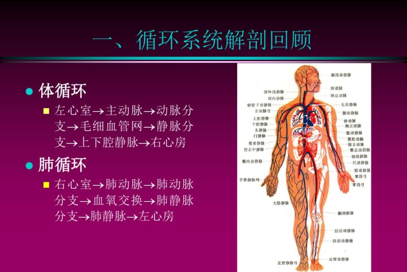 循环系统正常x线表现.pdf_第2页