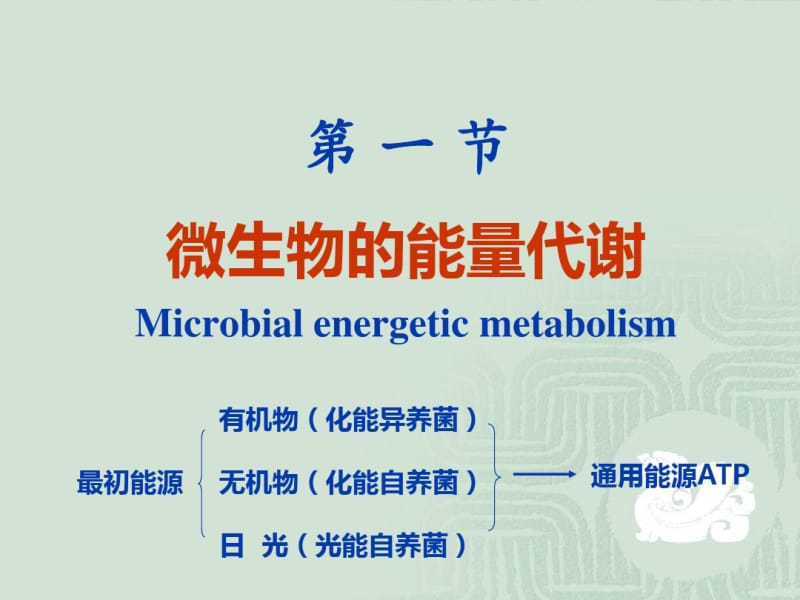 微生物的代谢精美课件.pdf_第3页