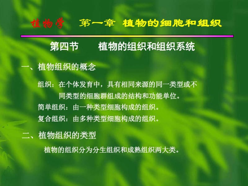 植物的组织和组织系统.pdf_第1页