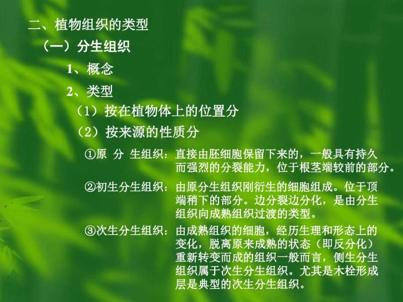 植物的组织和组织系统.pdf_第3页