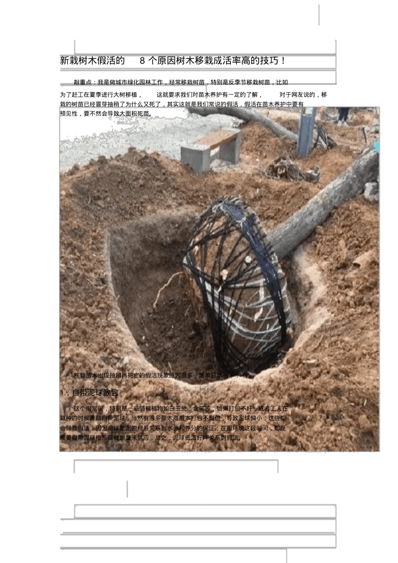 新栽树木假活地8个原因树木移栽成活率高地技巧.pdf_第1页