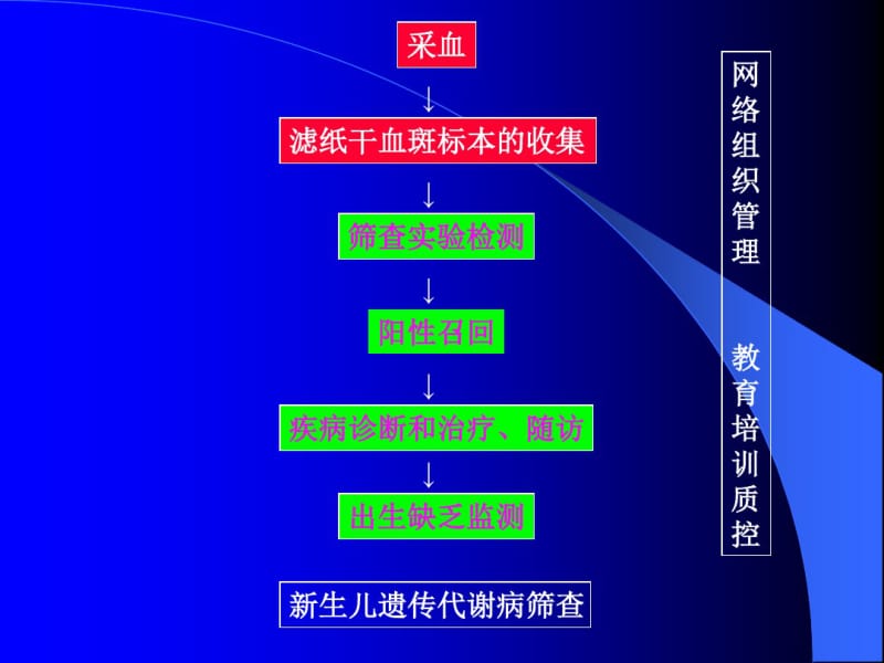 新生儿疾病筛查标本采集技术.pdf_第3页