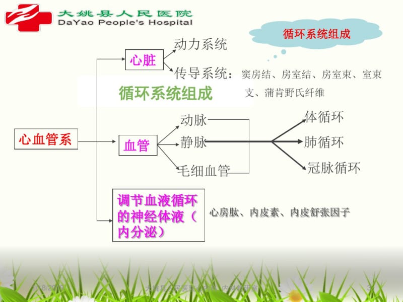 循环系统疾病第一章总论课件.pdf_第3页