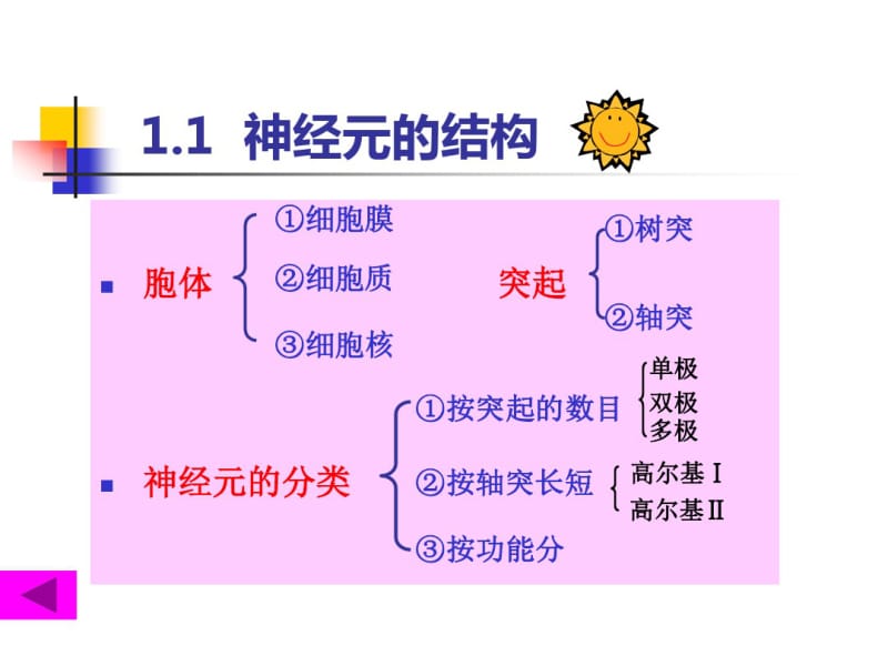 第一章神经元.pdf_第3页