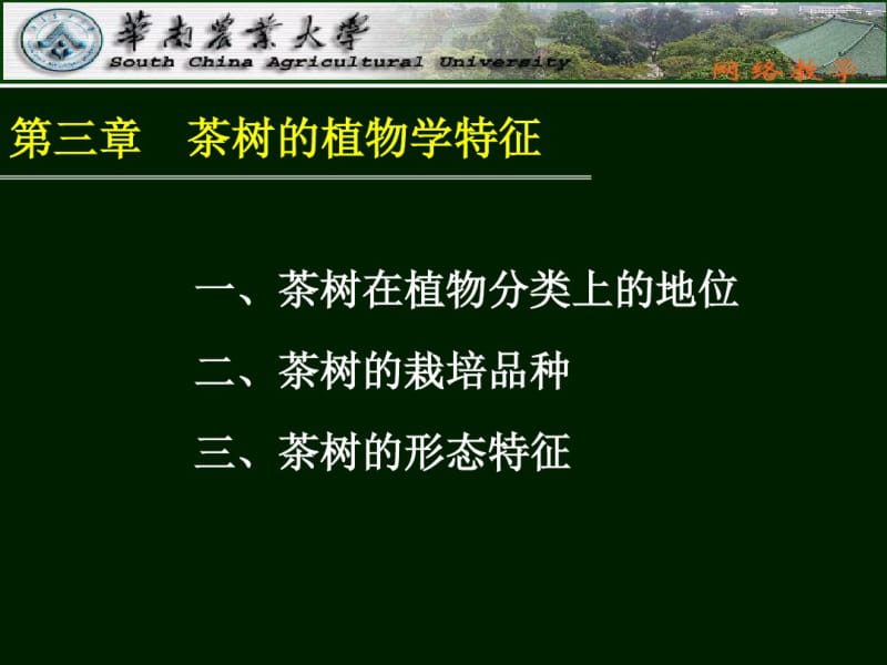 精品课程《茶树栽培学》课件第三章茶树的植物学特征.pdf_第2页