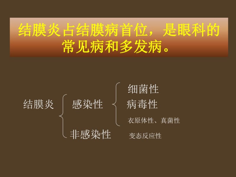 细菌性结膜炎与病毒性结膜炎的临床表现及治疗.pdf_第3页