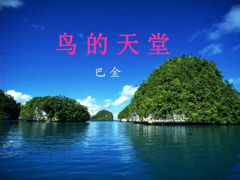 人教版四年级语文上册《鸟的天堂》ppt课件.pdf_第1页