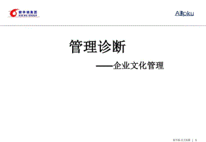 管理诊断企业文化管理课件.pdf