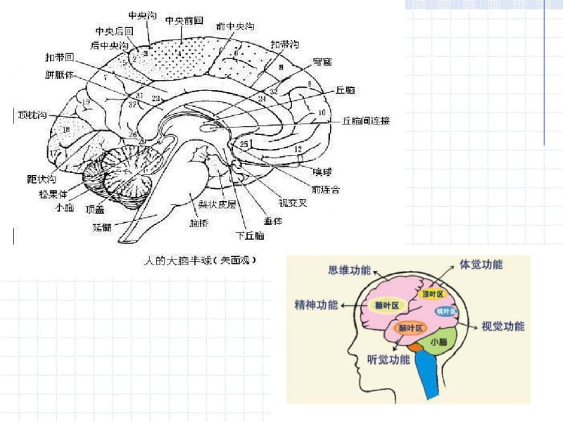 第二章传受者心理的实质.pdf_第3页