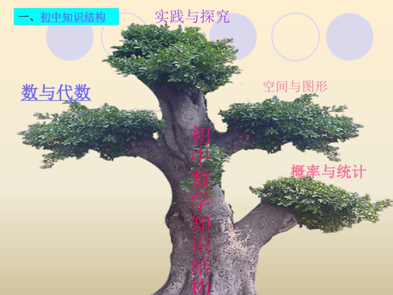 2019年初中数学思维导图知识点大全.pdf_第2页