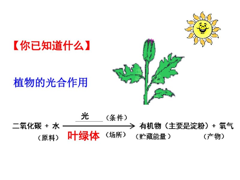 苏科版初中生物七上第三单元4.1《植物的光合作用--探究：植物进行光合作用的场所》课件(23张)(共23张).pdf_第2页