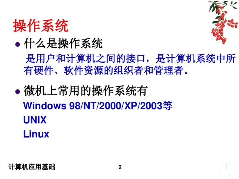 计算机应用基础操作系统课件.pdf_第2页