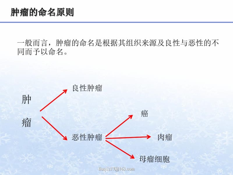 肿瘤的命名和分类.pdf_第2页