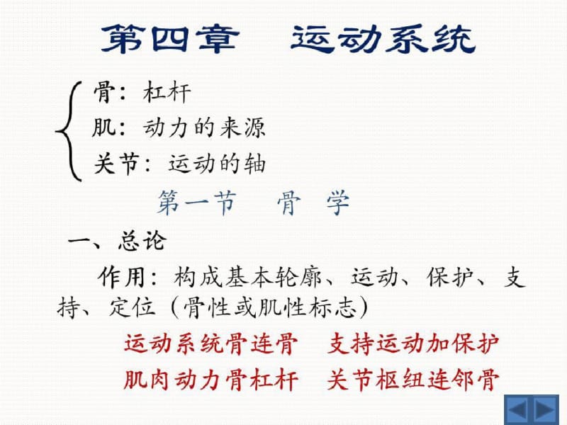 运动系统-人体解剖学.pdf_第2页