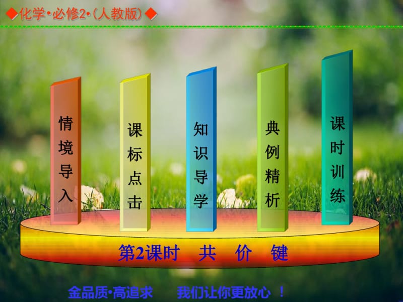 【金学案】高中化学必修二(人教)同步辅导与检测课件：第一章第三节第2课时共价键.pdf_第2页