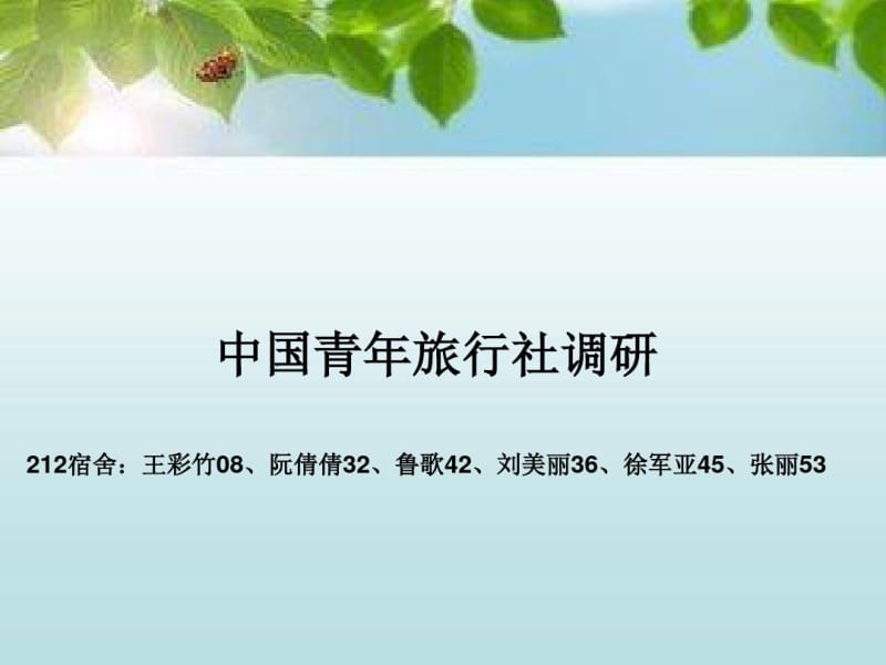 中国青年旅行社调研分析.pdf_第1页