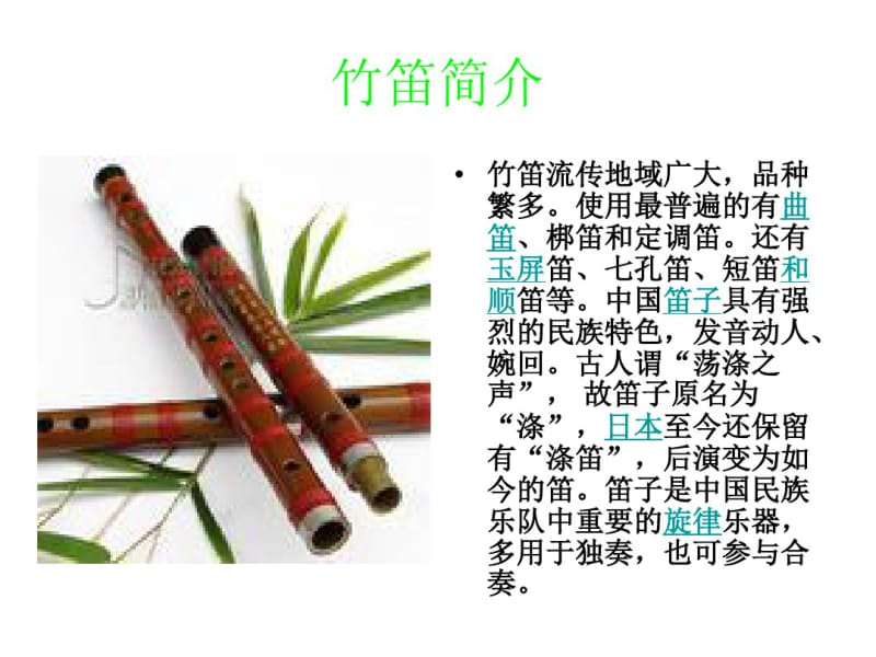 中国民族乐器ppt精品课件.pdf_第2页