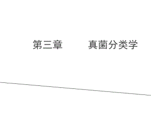 真菌分类1.pdf