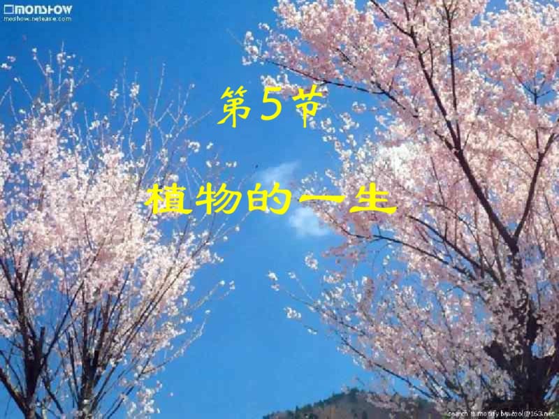 苏教版科学三下《植物的一生》PPT课件9.pdf_第1页