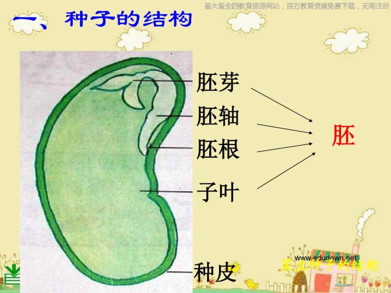 苏教版科学三下《植物的一生》PPT课件9.pdf_第3页