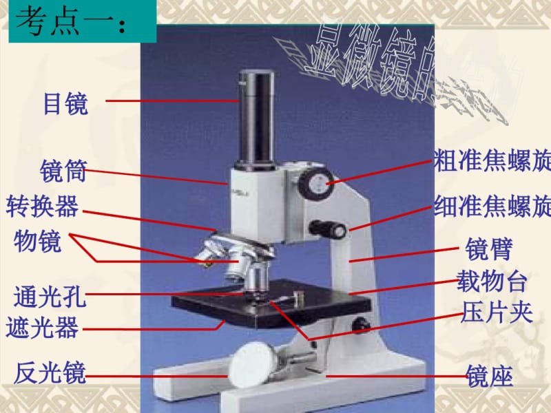 细胞是生命活动的基本单位课件.pdf_第3页